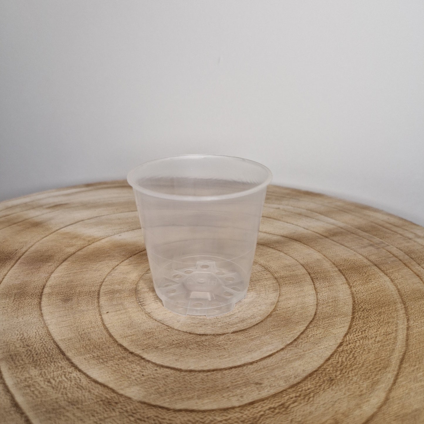 Pot de culture transparent 6cm