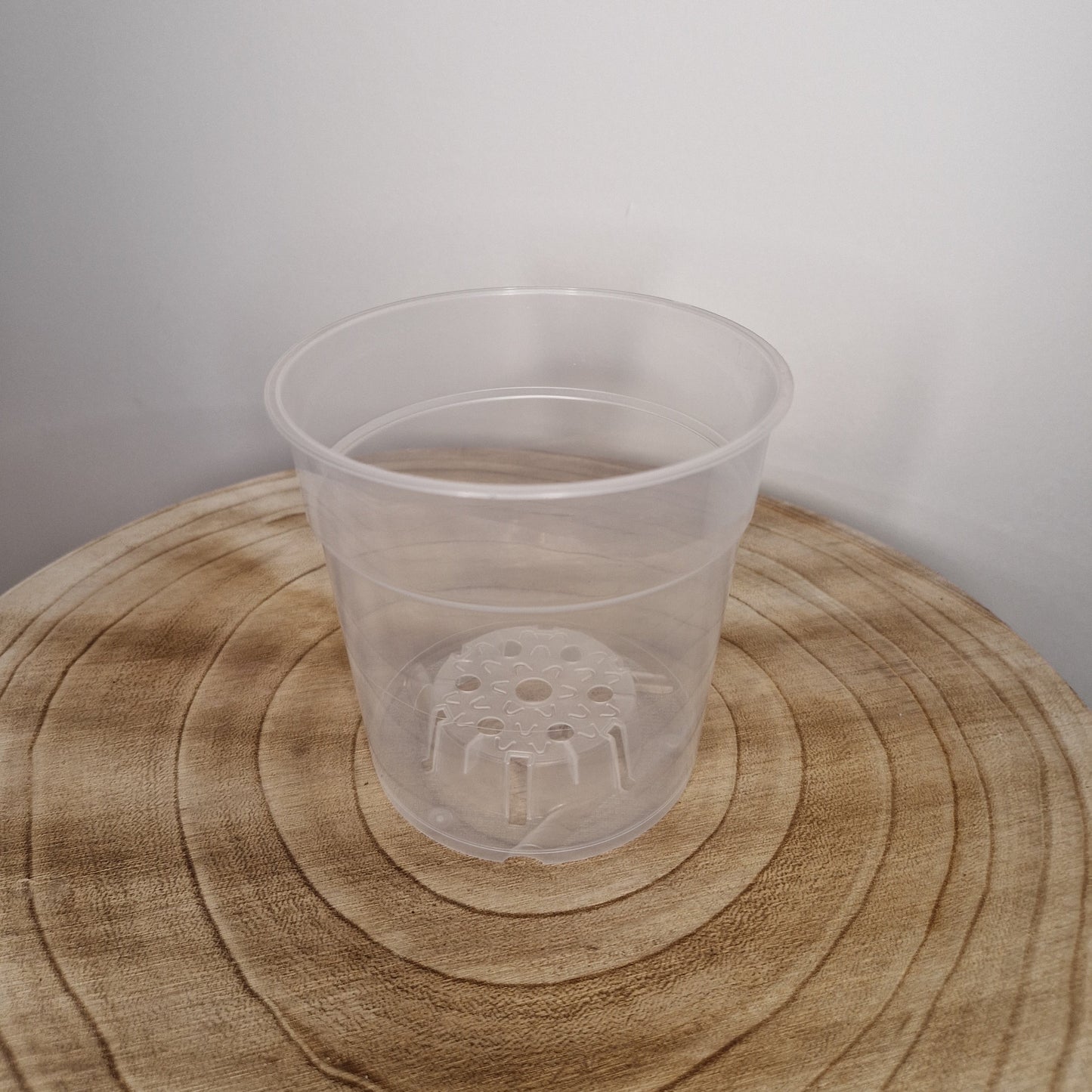 Pot de culture transpanrent 12cm