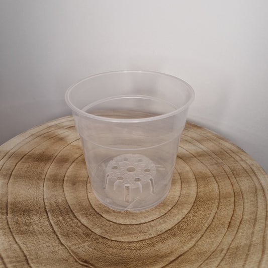 Pot de culture transpanrent 12cm