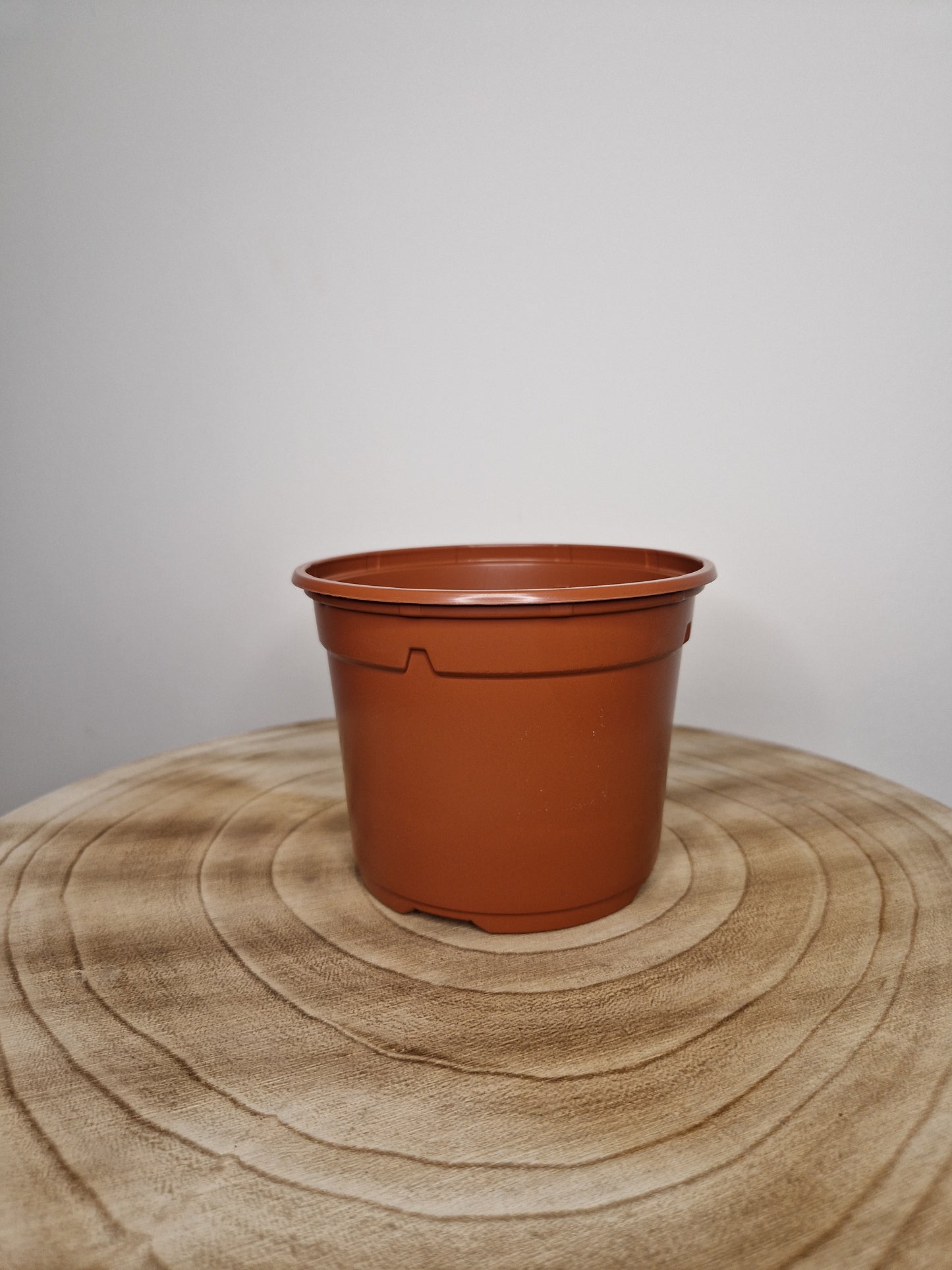 Lot de 5 pots de pépinière