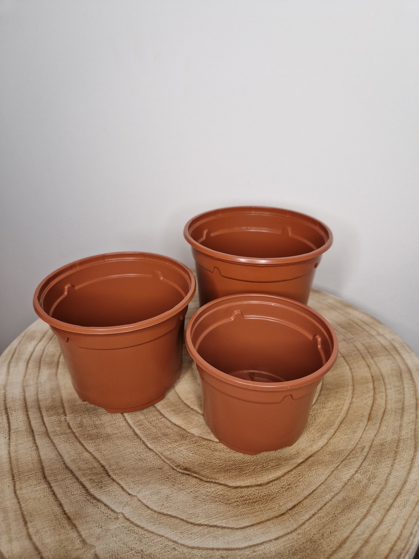 Lot de 5 pots de pépinière