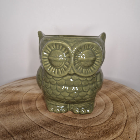 Cache pot chouette vert