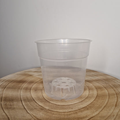 Pot de culture transpanrent 12cm