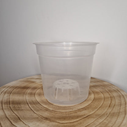 Pot de culture transpanrent 15cm