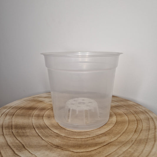 Pot de culture transpanrent 15cm