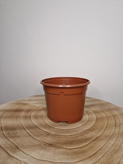 Lot de 5 pots de pépinière
