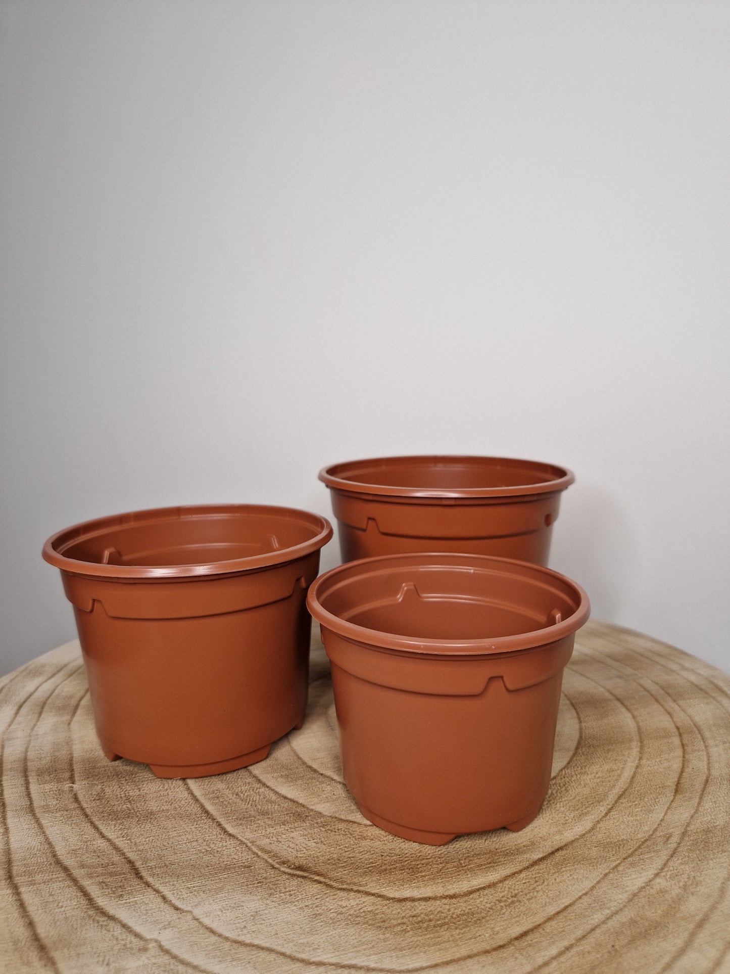 Lot de 5 pots de pépinière