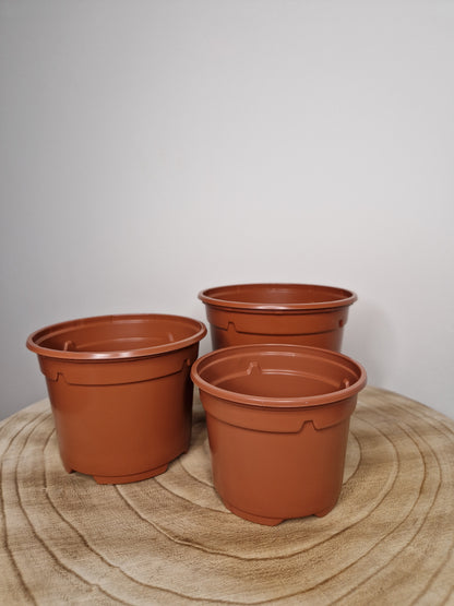 Lot de 5 pots de pépinière