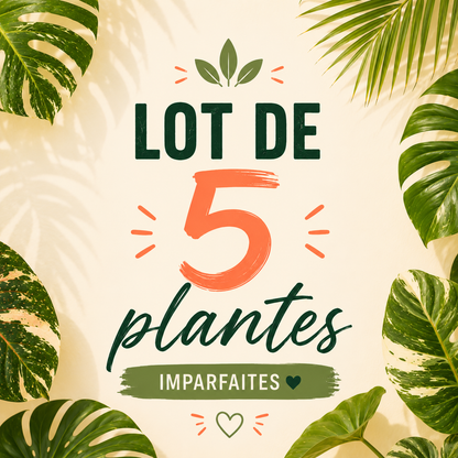 Les imparfaites